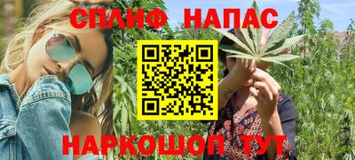 сатива Кимры