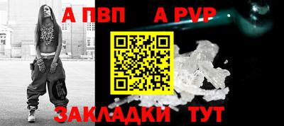 стаф Кинель