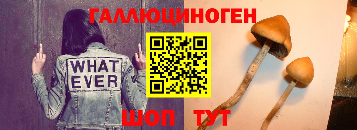 Бошки Шишки  Экстази  Вход с VPN  Мефедрон   Купить наркотики  ТГК  A PVP СОЛЬ   NBOMe  Каменск-Уральский  ГАШИШ 